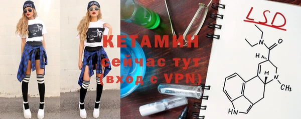 прущие грибы Среднеуральск