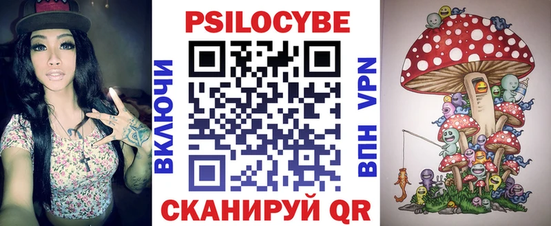 площадка наркотические препараты  Щучье  Галлюциногенные грибы Psilocybe 